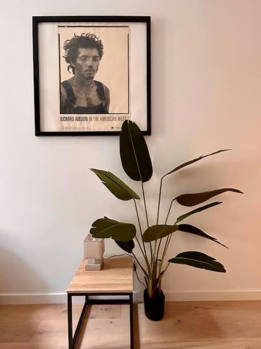Le Romy Daire Toulouse Dış mekan fotoğraf